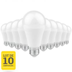 Lot de 10 Ampoules LED E27 12W blanc chaud