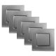 Lot de 5 Interrupteurs Poussoirs 10A Complets Gris Alu NOANE